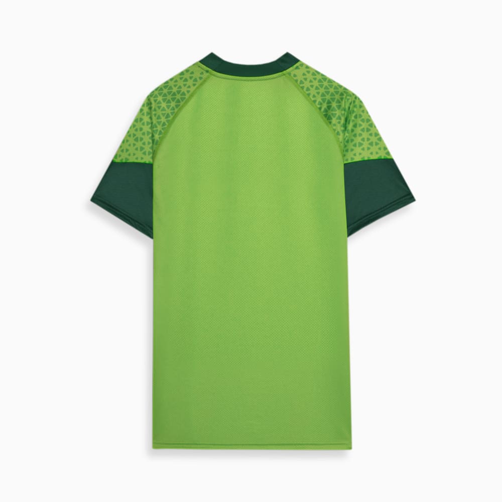 Camisa Palmeiras Treino e Viagem 24/25 - Torcedor Masculina - Verde